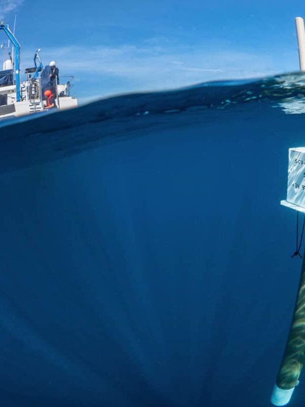 Perfilador a la deriva