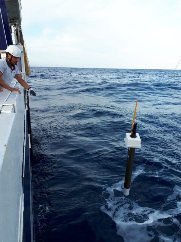 Lanzamiento perfilador