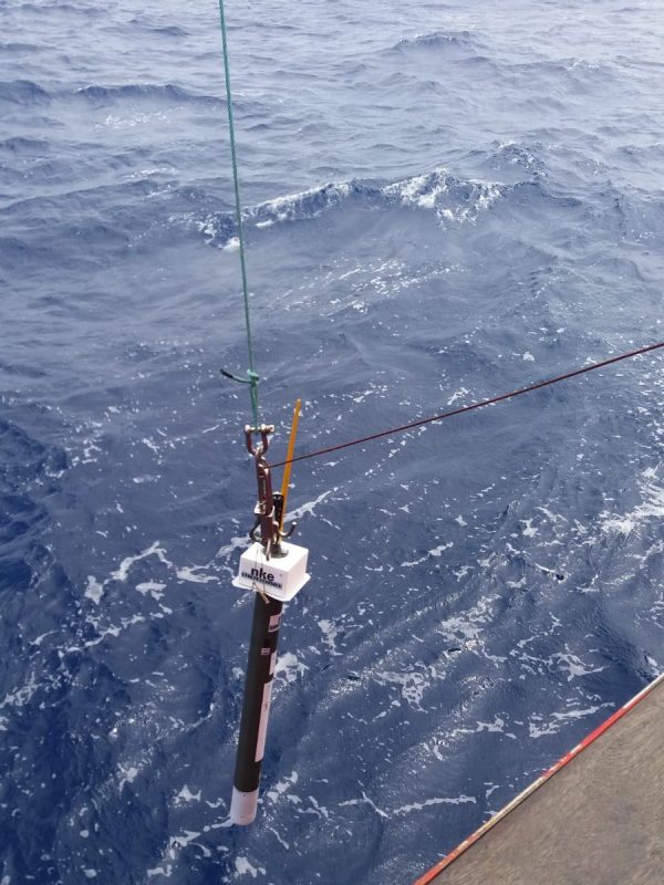 Lanzamiento perfilador