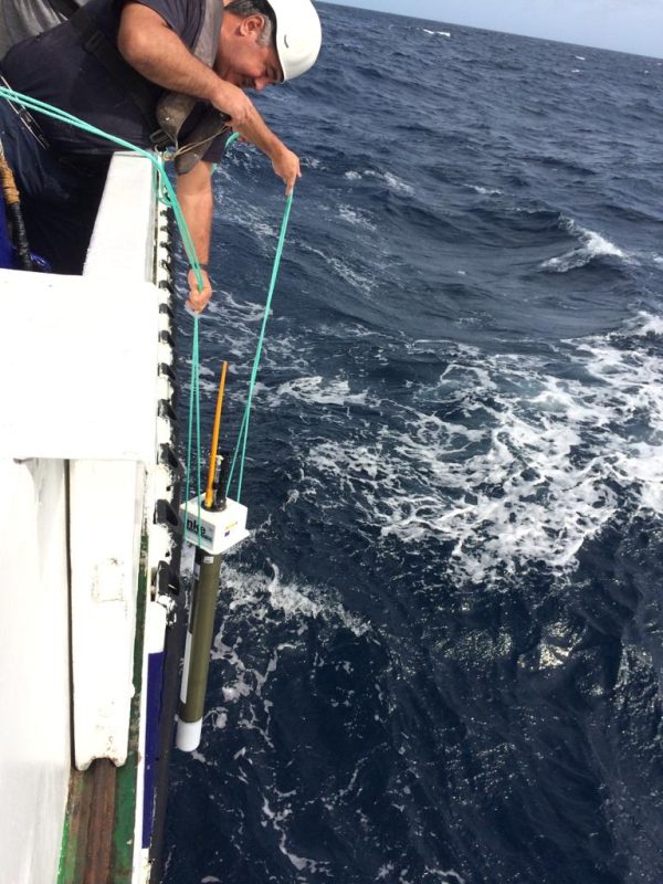 Lanzamiento perfilador Argo 6901261