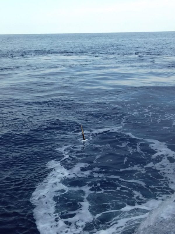 Perfilador alejándose