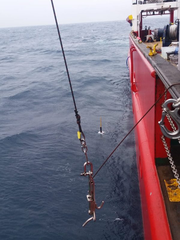 Perfilador en superficie