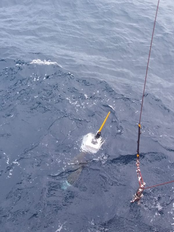 Perfilador en superficie