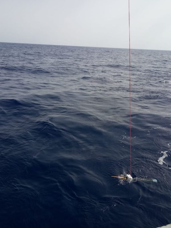 Perfilador en superficie