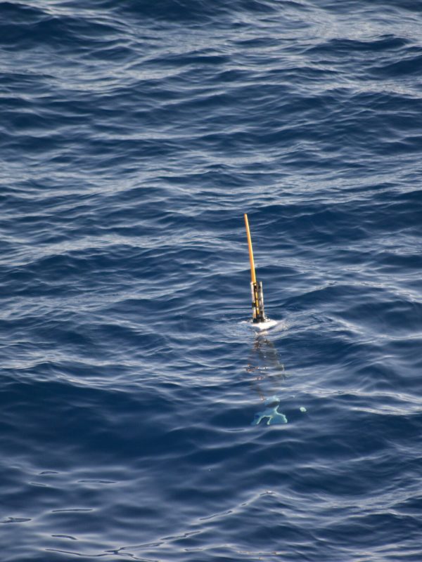 Perfilador previa inmersión