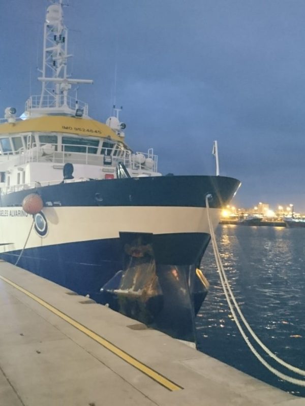 R:V Ángeles Alvariño